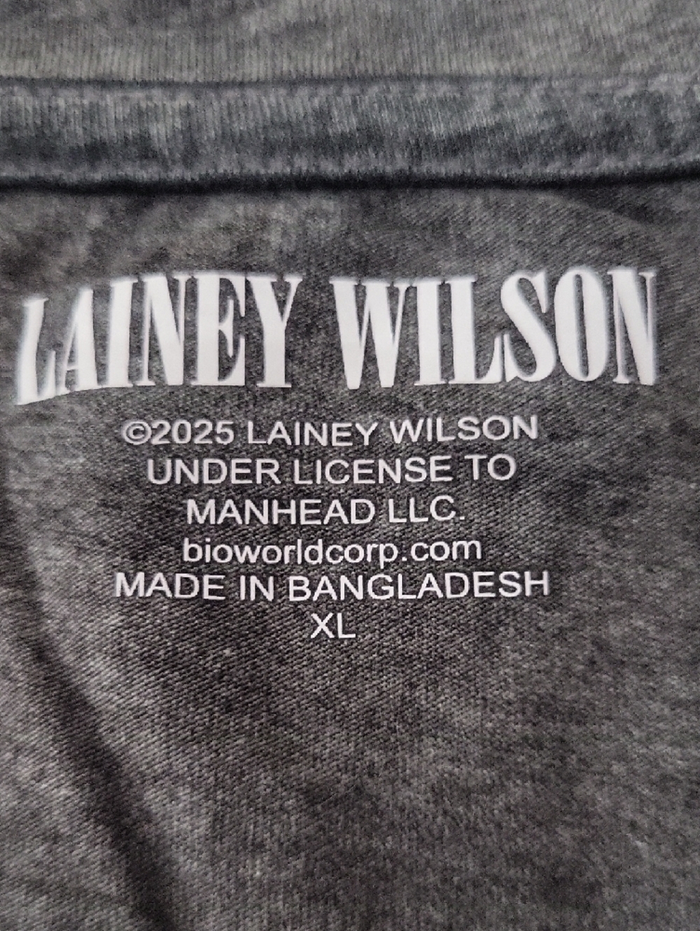 Lainey Wilson Women's Short Sleeve Tee - Charcoal with White Desert Graphic - Picture 2 of 12